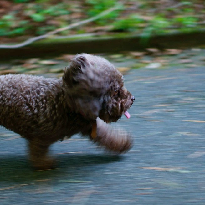 Welcome to My Research Journey